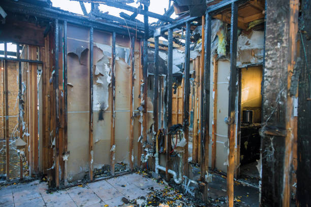 Professional Smoke Damage Removal technician working in Montclair, VA